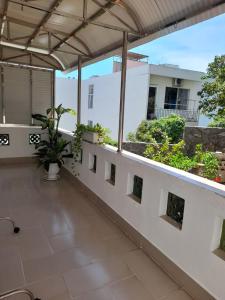 un balcone di una casa con piante di Mango Tree a Vung Tau