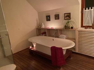 a bathroom with a bath tub in a room at Villa Dona in Kranjska Gora