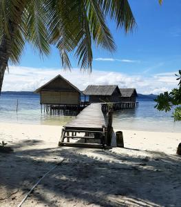 a pier on a beach with houses in the water at Frances Homestay - Raja Ampat in Pulau Mansuar