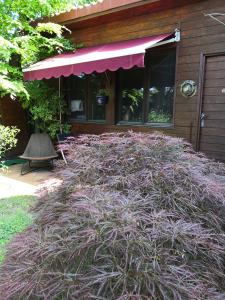 a large pile of grass in front of a house at Studio with free parking Nice terrace Free WiFi connection in Geneva