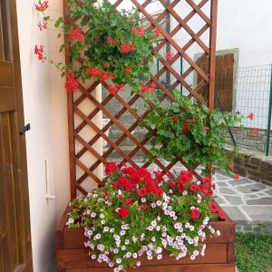 A garden outside La casetta di Mizar