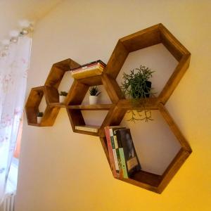The library in Az apartmant
