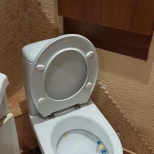 um WC branco com o assento para cima na casa de banho em 2 room apartment 350 m from sea em Liepāja