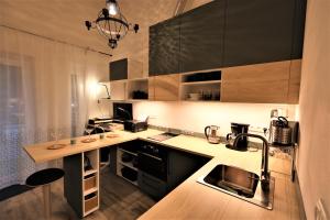 una cucina con armadi in legno e piano di lavoro di PRAHA - SULICE a Sulice