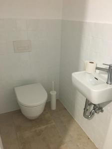 een badkamer met een toilet en een wastafel bij Apartment zur schönen Sophie in Gmunden