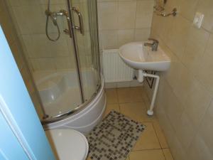 a bathroom with a shower and a toilet and a sink at Motel Sapnis in Jēkabpils +28 photos