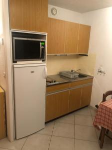 eine Küche mit einem Kühlschrank und einer Mikrowelle in der Unterkunft Studio Les Carroz in Les Carroz d'Araches