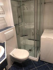 ein Bad mit einem WC und einer Glasdusche in der Unterkunft Studio Les Carroz in Les Carroz d'Araches