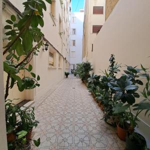 an alley with potted plants on the side of a building at XIX Century Home in Buenos Aires +47 photos
