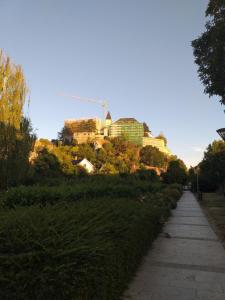 Vonkajšia záhrada v ubytovaní Galeria Villa