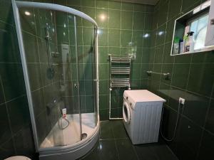 a green tiled bathroom with a shower and a toilet at The house of the botanist in Tbilisi City