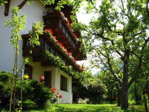 Zahrada ubytování Apartment Turala + 13 fotografií