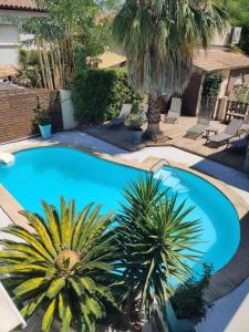 a swimming pool with two palm trees in a yard at Hôtel Le Médiéval in Aigues-Mortes