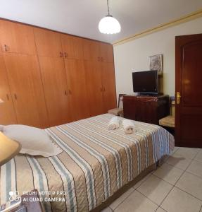 ein Schlafzimmer mit zwei Katzen, die auf einem Bett liegen in der Unterkunft Departamentos Vacacionales en el centro de Tarija in Tarija