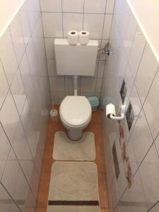 baño pequeño con aseo y 2 rollos de papel higiénico en Apartman San, en Slunj