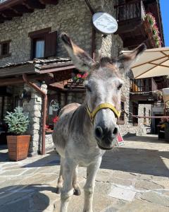 a brown and white horse standing next to a building at Hotel La Grange - Animal Chic Hotel in Courmayeur