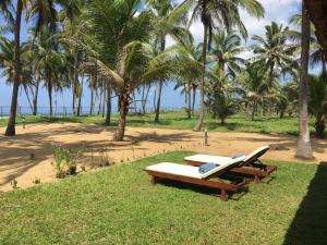 dwa deski surfingowe siedzące na stole piknikowym na plaży w obiekcie Paradise holidays in the tropics w mieście Kottanitivu