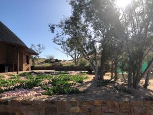 Zahrada ubytování Daberas Guest Farm + 38 fotografií