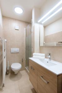 uma casa de banho com um WC, um lavatório e um chuveiro em Billionaires Club LOFT Sauna City Center em Praga