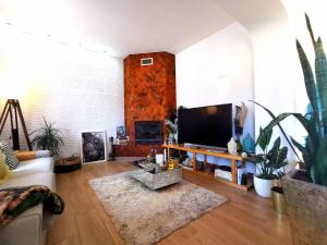 uma sala de estar com uma televisão de ecrã plano e um sofá em Silves Country Room em Silves