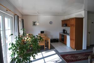 WalkenriedにあるFerienwohnung-Stricker-1-1のキッチン(テーブル、植物付)が備わる客室です。