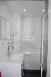 ein weißes Bad mit einem Waschbecken und einer Dusche in der Unterkunft Ferienwohnung Stricker 1/1 in Walkenried