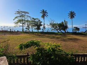 un parque con palmeras y el océano al fondo en STUDIOS BAMBO-EST Sunrise en Bandrélé