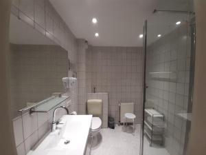 a bathroom with a toilet and a sink and a shower at Ferienwohnung-Stricker-3-1 in Walkenried