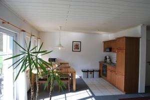 a kitchen and dining room with a table and a plant at Ferienwohnung-Stricker-2-1-Typ-B-Terrasse in Walkenried