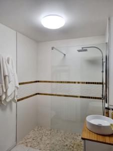 La salle de bains est pourvue d'une douche et d'un lavabo. dans l'établissement Longère indépendante avec terrain de tennis privé, à Saint-Maugan
