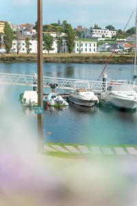 eine Gruppe von Booten wird an einem Yachthafen angedockt in der Unterkunft Naval Guest House & Bistrô in Vila do Conde