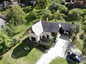 an overhead view of a house with a car on the yard at Apartment Polane in Blejska Dobrava