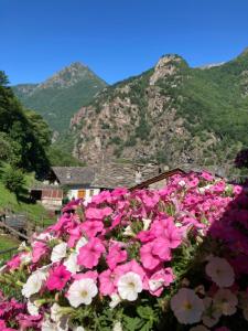 Nespecifikovaný výhled na hory nebo výhled na hory při pohledu z bed and breakfast