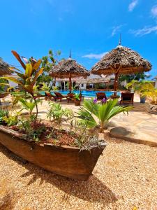 a wooden boat with plants and umbrellas on a beach at Mimi na wewe villa in Nungwi