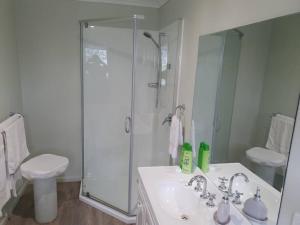 a bathroom with a shower and a sink and a toilet at Handsome Hills Dairy Retreat in Won Wron +24 photos