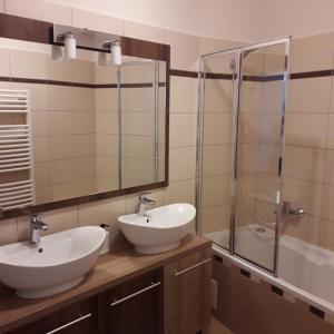 Koupelna v ubytování Belvárosi Apartman Lux