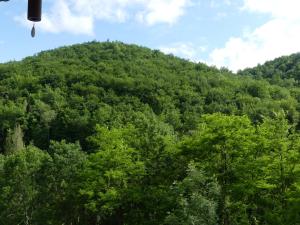 Paesaggio naturale nelle vicinanze del bed & breakfast