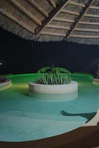 Villa avec piscine à Ndangane في Ndangane: زرع في غرفه