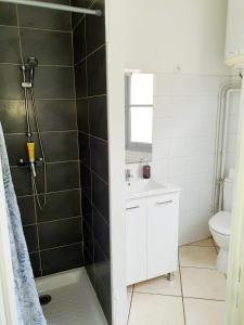 y baño con ducha, lavabo y aseo. en Entre arènes et maison carrée P1, en Nimes