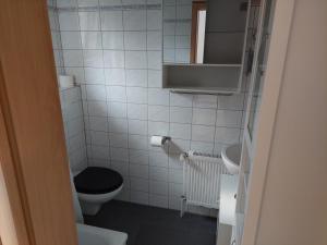 a small bathroom with a toilet and a sink at Zimmervermietung Schnackenberg in Vollersode