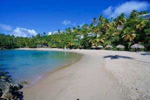 a sandy beach with umbrellas and the ocean at Perfect Paradise, Oceanview in Samana in Santa Bárbara de Samaná