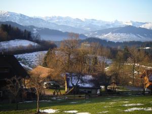 a village with snow covered mountains in the background at Ferienhof Reichart in Scheidegg