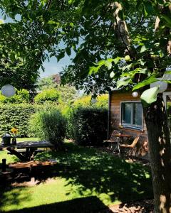 a backyard with a picnic table and a tree at Bed and Breakfast: 'Bij ons Achter' in Helvoirt