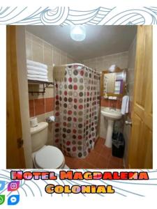 a bathroom with a toilet and a shower curtain at Hotel Magdalena Colonial in Guanajuato