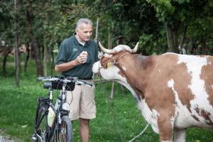 Zvieratá na farme alebo blízkom okolí