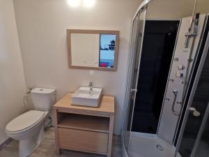 a bathroom with a toilet and a sink and a shower at Charmant studio La Forge in Auzay
