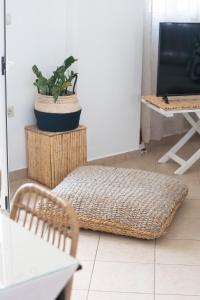 une chambre avec un canapé et une plante en pot dans l'établissement Kalomoira's Apartments, à Elafonisos