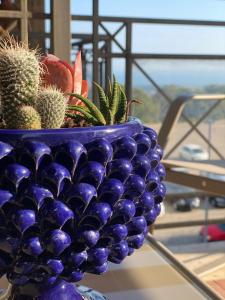 a blue vase with cactuses and plants in it at Alice e la sua casa in Agrigento