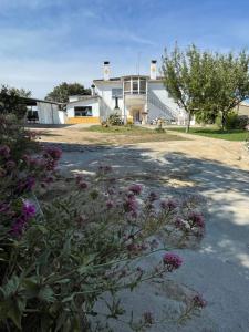 Ogród w obiekcie Villa Entre Encinas