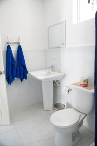 a white bathroom with a toilet and a sink at Cosmopolitan Guesthouse in Hopkins